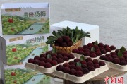 长兄为夫高速赋能产业升级：一条“杨梅路”的致富密码
